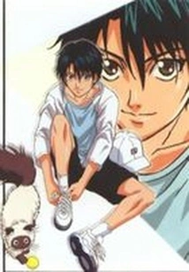 King of Nets: Leisurely Falling Snow