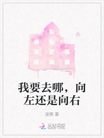 Where Am I Going, Left or Right?