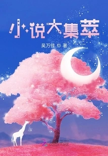 A Collection of Novels