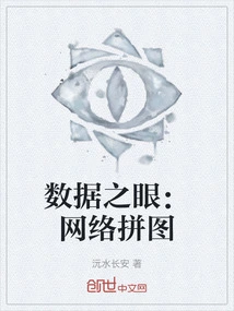 Data Eyes: Network Puzzle