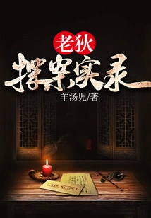 Lao Di's Investigative Records