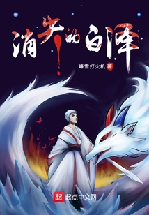 The Disappearing Baize