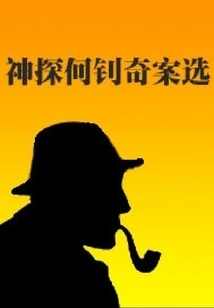 Detective He Zhao's Strange Cases