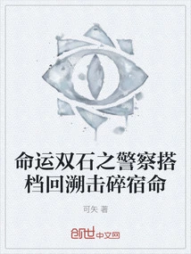 Two Stones of Destiny: Police Partners Look Back and Break Fate