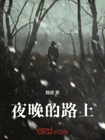 On the Road at Night