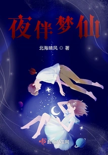 Night Companion Dream Fairy