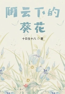 Sunflowers under the Clouds