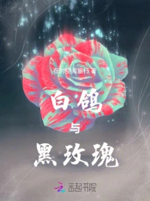 White Dove and Black Rose