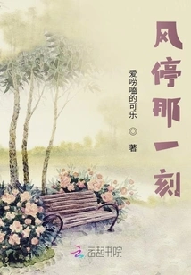 The Moment the Wind Stops