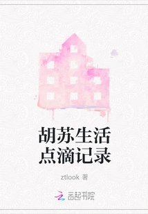 Records of Hu Su's Life