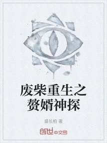 The Reborn Son-in-law Detective