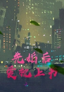 Marriage First, Love Later Pillow Book