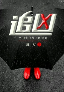 Chasing the Murderer