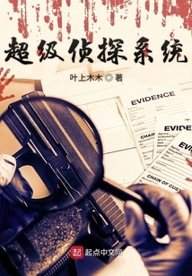 Super Detective System