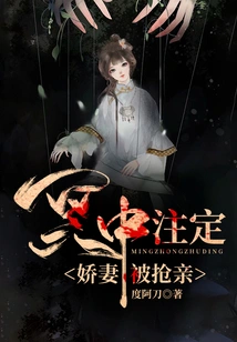 Destined in the Dark: My Beloved Wife is Robbed of Her Bride