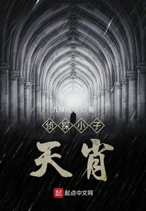 Detective Boy Tianxiao