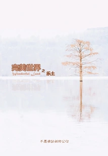 The Paradise of Perfect World