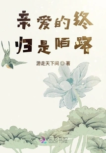 My Dear, We Are Still Strangers after All