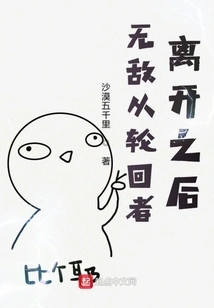 After Invincible Left the Reincarnator