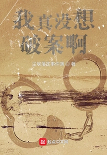 I Really Don't Want to Solve the Case