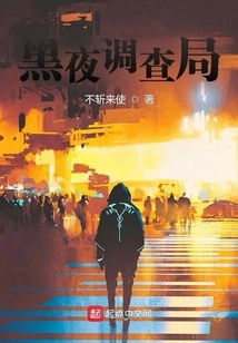 Night Investigation Bureau