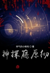 Detective Fujiwara Toru