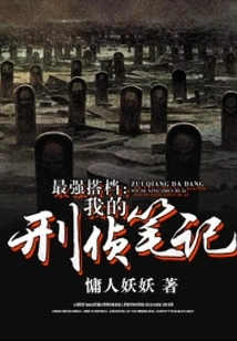 The Strongest Partner: My Criminal Investigation Notes