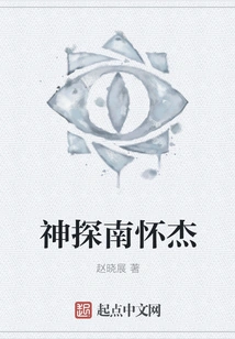 Detective Nan Huaijie