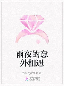 An Unexpected Encounter on a Rainy Night