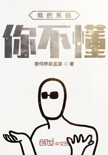 You Don't Understand My System