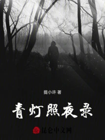 Green Lantern Illuminates the Night Record