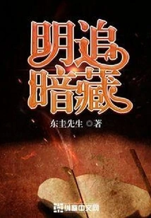 Chasing Openly and Hiding