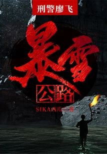 Detective Liao Fei: Blizzard Highway