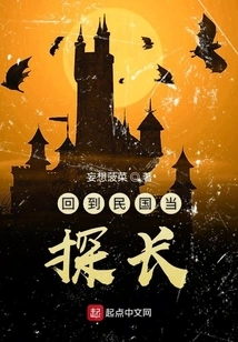 Returned to the Republic of China and Became a Detective