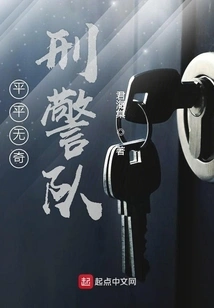 Ordinary Criminal Police Team