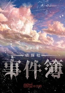 Detective Agency Incident Book