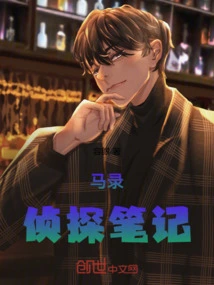 Detective Ma Lu's Notes