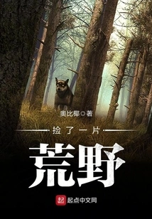 Picked up a Piece of Wilderness