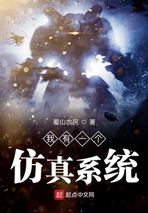 I Have a Simulation System