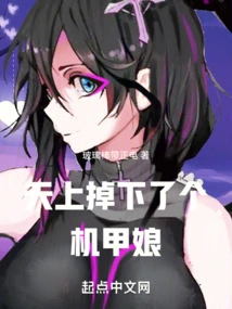 A Mecha Girl Fell from the Sky