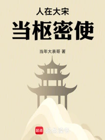 He Was a Privy Envoy in the Song Dynasty