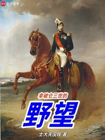 The Ambitions of Napoleon Iii