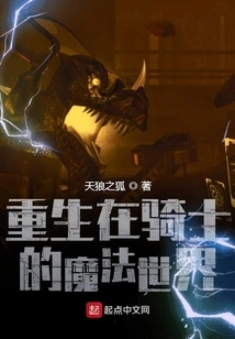 Reborn in the Magical World of Knights