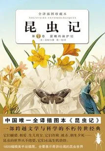 Insect Diary (volume 7)