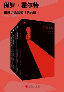 Paul Holt Mystery Novel Set (five Volumes in Total)