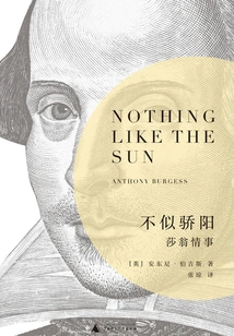 Not Like the Sun: Shakespeare's Love Affair