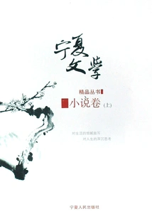 Ningxia Literature Series (novel Volume)