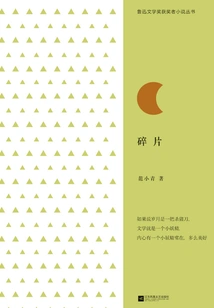 Fragments (novel Series by Lu Xun Literature Prize Winners)