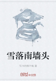 Snow Falls on the South Wall