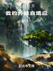 The World of Reincarnation: My Plug-in Adaptation